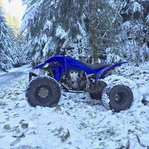 Meet your Posher, Luis